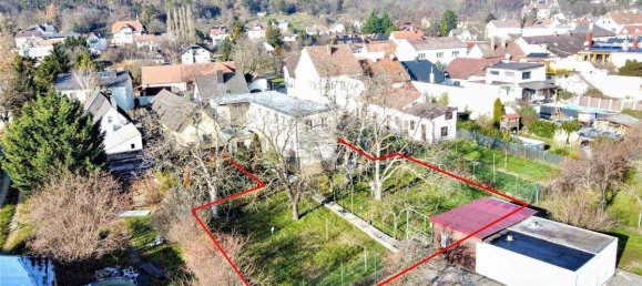 5-salle Maison à Winzendorf-Muthmannsdorf, Austria No. 130950 2