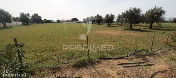 3 bedrooms House in Alvito, Portugal No. 84073 29