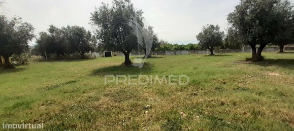 3 bedrooms House in Alvito, Portugal No. 84073 23