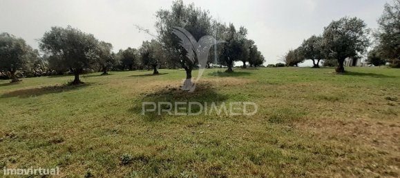 3 bedrooms House in Alvito, Portugal No. 84073 22