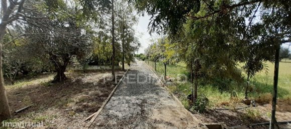 3 bedrooms House in Alvito, Portugal No. 84073 27