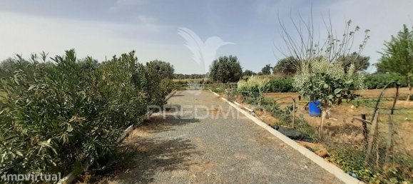 3 bedrooms House in Alvito, Portugal No. 84073 28