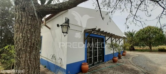 3 bedrooms House in Alvito, Portugal No. 84073 33