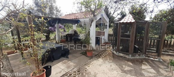 3 bedrooms House in Alvito, Portugal No. 84073 20