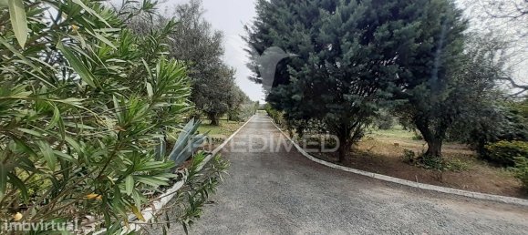 3 bedrooms House in Alvito, Portugal No. 84073 40