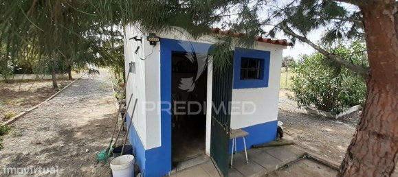 3 bedrooms House in Alvito, Portugal No. 84073 19