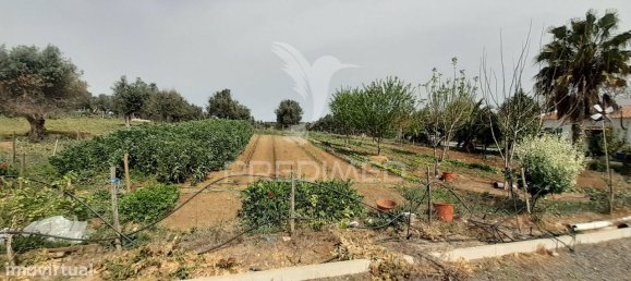 3 bedrooms House in Alvito, Portugal No. 84073 30