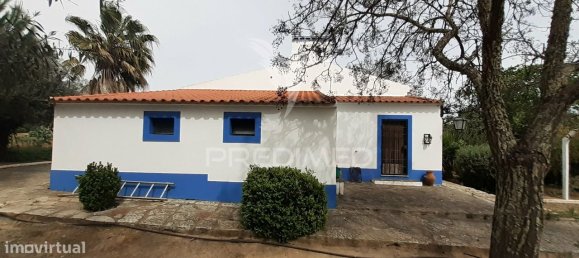 3 bedrooms House in Alvito, Portugal No. 84073 35
