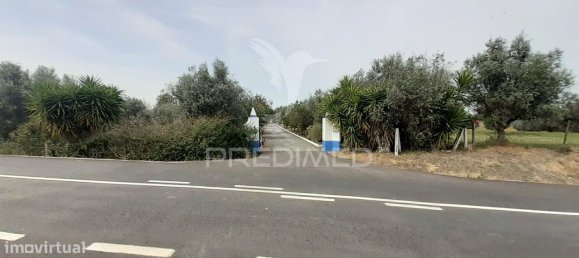 3 bedrooms House in Alvito, Portugal No. 84073 38