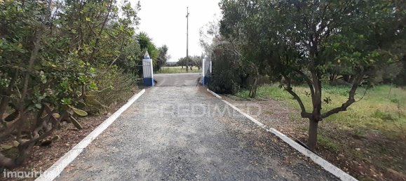 3 bedrooms House in Alvito, Portugal No. 84073 39