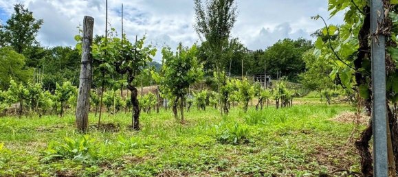 3 غرف نوم منزل في Aulla, Italy رقم 361794 17