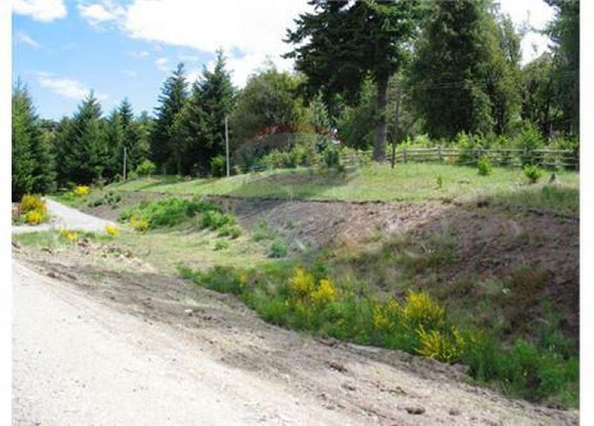 Terrain à Neuquen, Argentina No. 37836