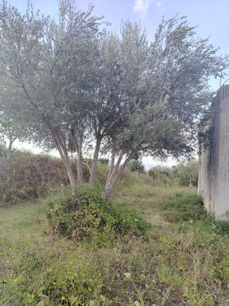 2 غرف نوم منزل في Carini, Italy رقم 349363