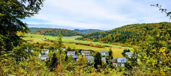 Grundstück in Waldeck-Frankenberg, Germany, Nr. 230506 2