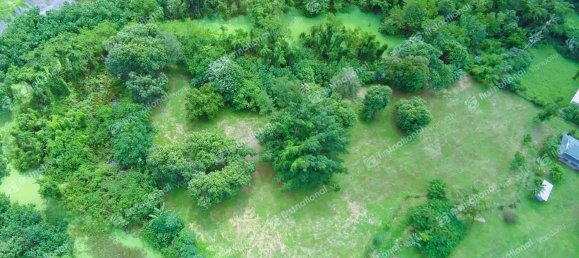 19595m² Land in Port-Vila, Vanuatu No. 36 5