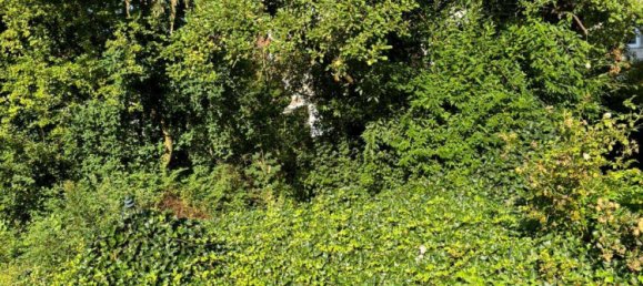 1 chambre Appartement à Freising, Germany No. 204020 15