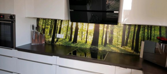 2 bedrooms Apartment in Speyer, Germany No. 304196 6