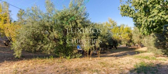 9103m² Land in Loule, Portugal No. 78120 2