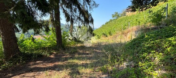 3 chambres Maison à Santo Stefano Belbo, Italy No. 305708 24