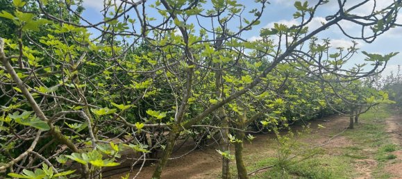 2 Schlafzimmer Haus in La Selva del Camp, Spain, Nr. 145602 24