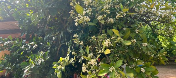 2 Schlafzimmer Haus in La Selva del Camp, Spain, Nr. 145602 32