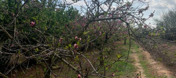 2 Schlafzimmer Haus in La Selva del Camp, Spain, Nr. 145602 19