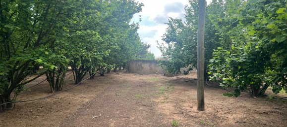 2 Schlafzimmer Haus in La Selva del Camp, Spain, Nr. 145602 6