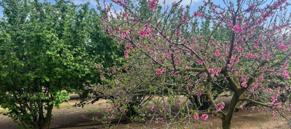 2 Schlafzimmer Haus in La Selva del Camp, Spain, Nr. 145602 22