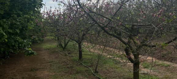 2 Schlafzimmer Haus in La Selva del Camp, Spain, Nr. 145602 17