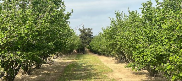 2 Schlafzimmer Haus in La Selva del Camp, Spain, Nr. 145602 26