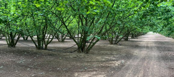 2 Schlafzimmer Haus in La Selva del Camp, Spain, Nr. 145602 3