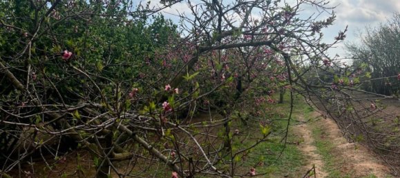 2 Schlafzimmer Haus in La Selva del Camp, Spain, Nr. 145602 18