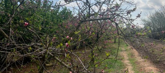 2 Schlafzimmer Haus in La Selva del Camp, Spain, Nr. 145602 21