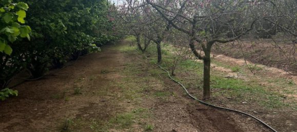 2 Schlafzimmer Haus in La Selva del Camp, Spain, Nr. 145602 20