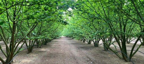 2 Schlafzimmer Haus in La Selva del Camp, Spain, Nr. 145602 8