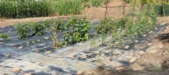 7 rooms House in Gavello, Italy No. 296047 17