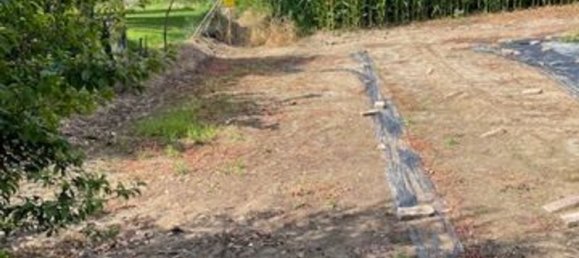 7 rooms House in Gavello, Italy No. 296047 18