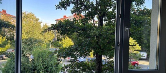 2 rooms Apartment in Maria-Lanzendorf, Austria No. 246685 3