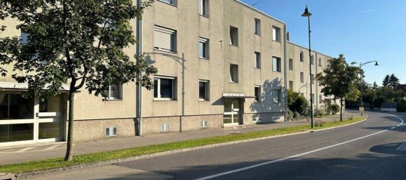 2 rooms Apartment in Maria-Lanzendorf, Austria No. 246685 4