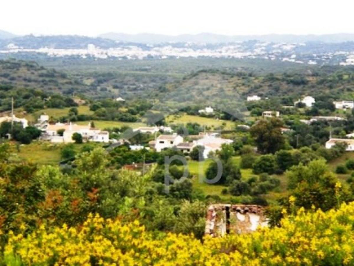 4000m² Office in Faro, Portugal No. 8059