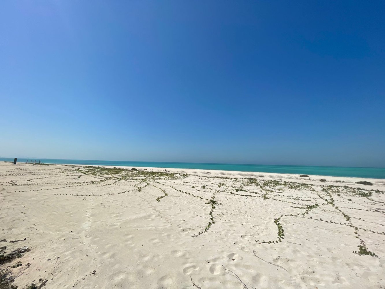 7 غرف نوم فيلا في جزيرة السعديات, UAE رقم 1674