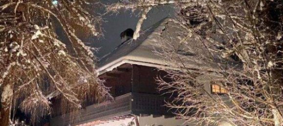 Casa de 7 divisões em Lassing, Austria N.º 103892 11