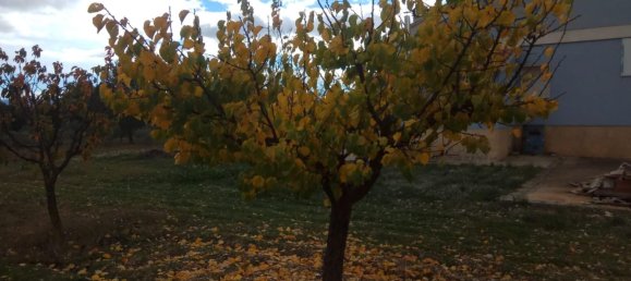 5 chambres Maison à Yecla, Spain No. 166069 29