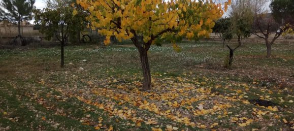 5 chambres Maison à Yecla, Spain No. 166069 28