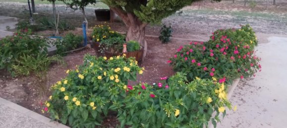 5 chambres Maison à Yecla, Spain No. 166069 30