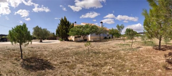 5 chambres Maison à Yecla, Spain No. 166069 25