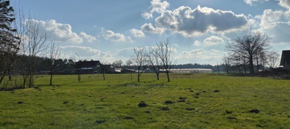  Land in Ammerland, Germany No. 140599 4