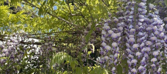 Casa de 6 habitaciónes en Traun, Austria No. 184937 31