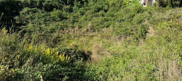 Земельный участок в Гмунден, Австрия № 76470 4