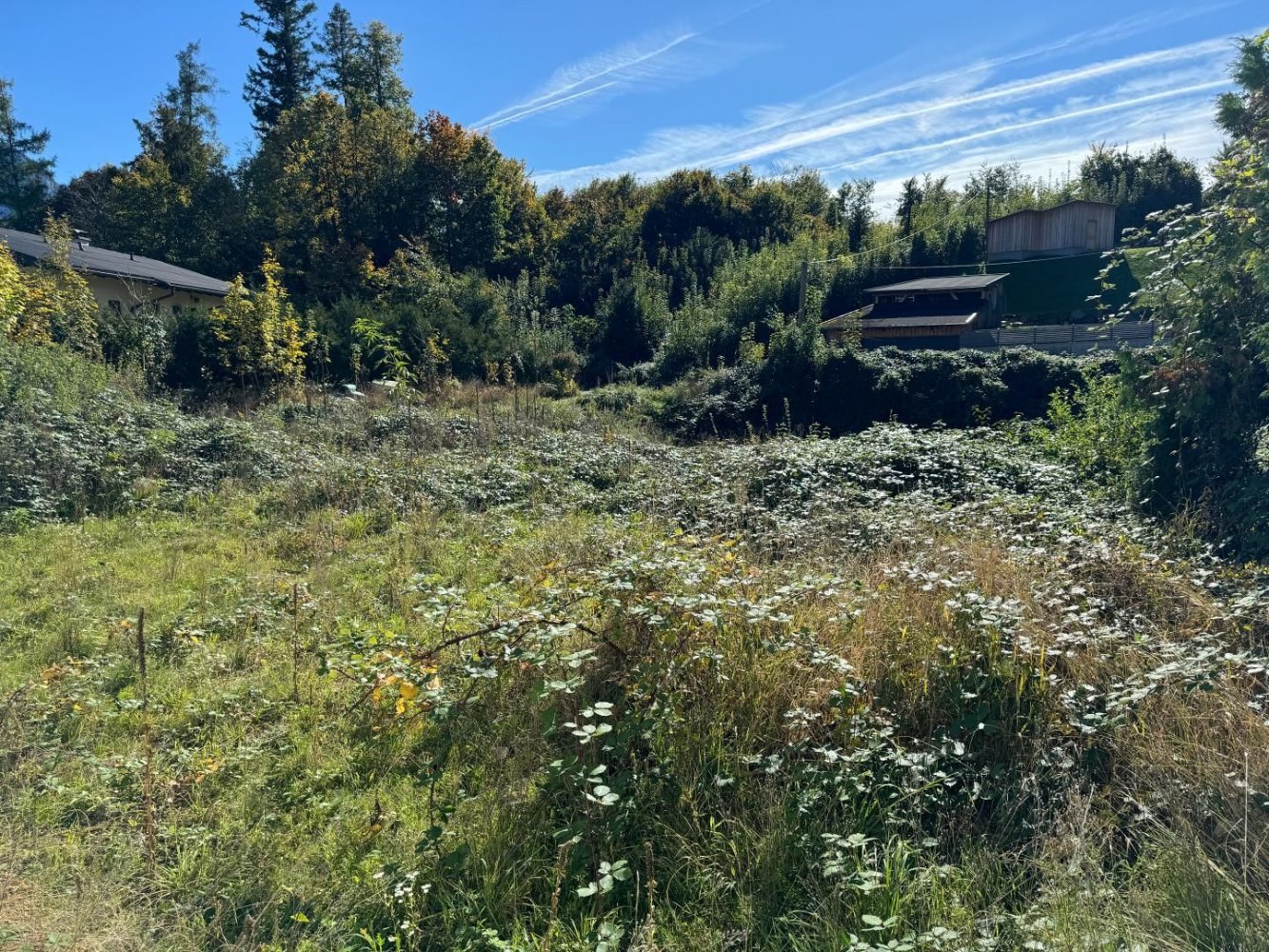 Земельный участок в Гмунден, Австрия № 76470